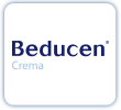 sponsor-beducen.png